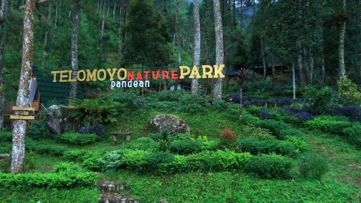 Telomoyo Nature Park: Petualangan Menakjubkan di Lereng Gunung Telomoyo